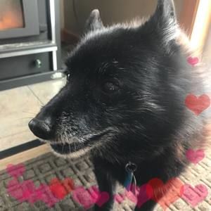 Meet your Posher, Paula